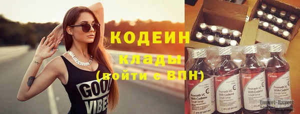 индика Верея
